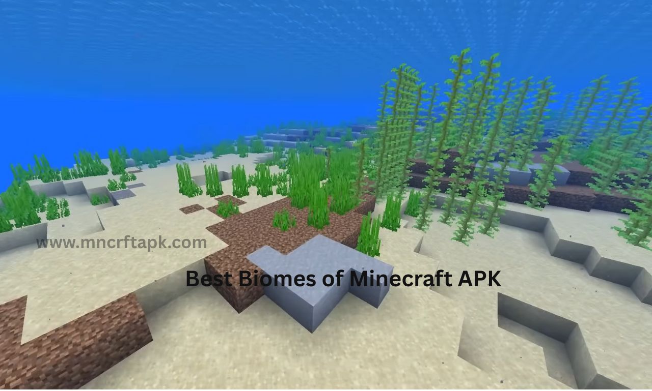 Best Biomes of Minecraft APK 2025
